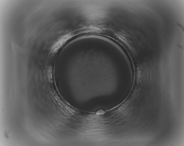 X0000100411455200806201748