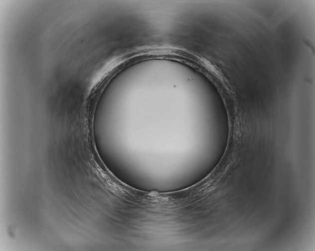 X0000100411456200806201748