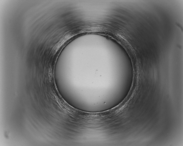 X0000100411457200806201748