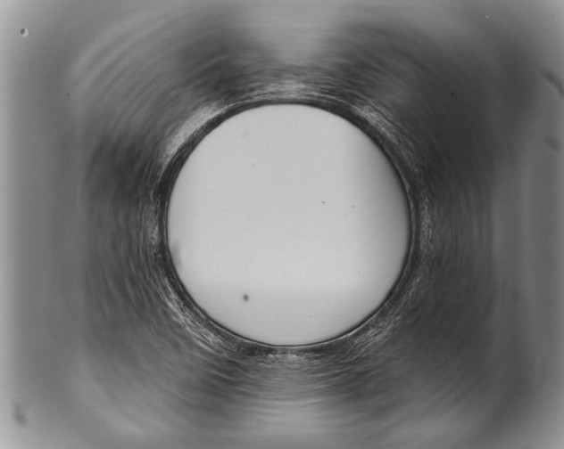 X0000100411458200806201748