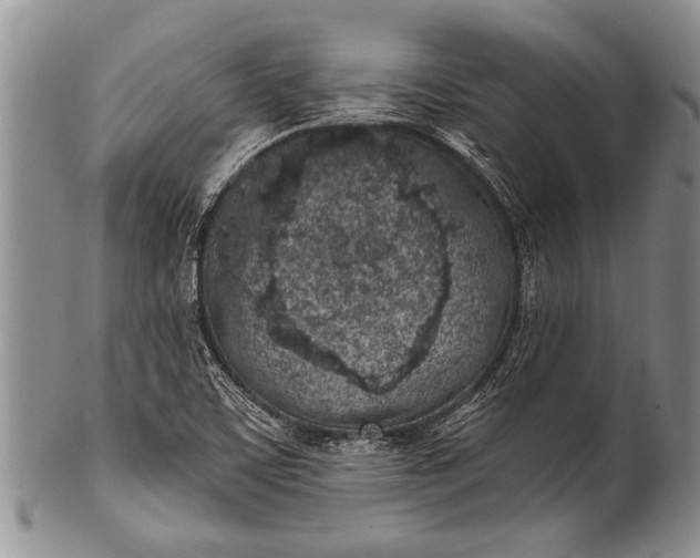 X0000100411459200806201748