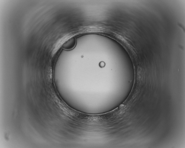 X0000100411461200806201748