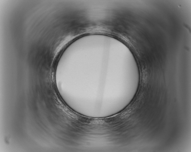 X0000100411462200806201748