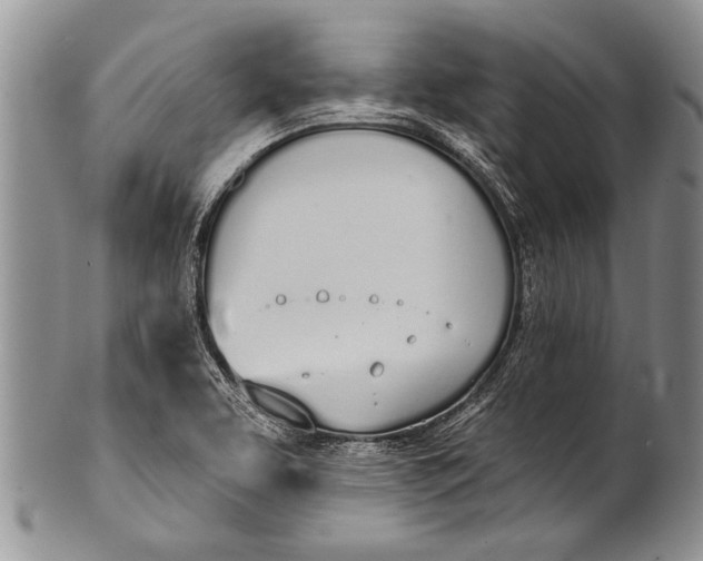 X0000100411463200806201748