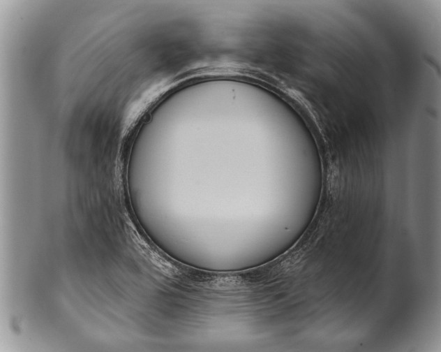 X0000100411464200806201748