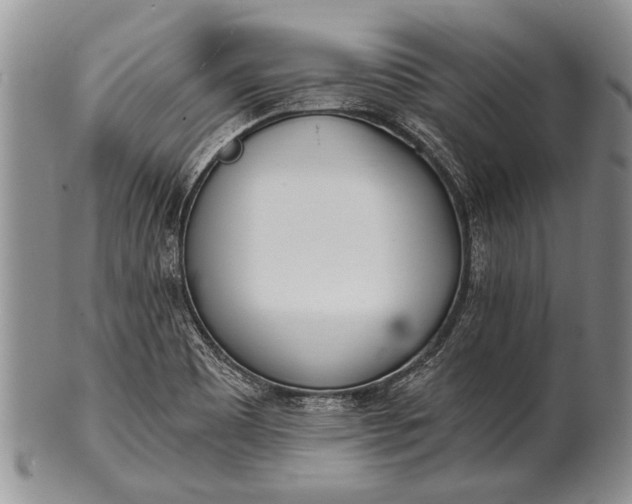 X0000100411465200806201748