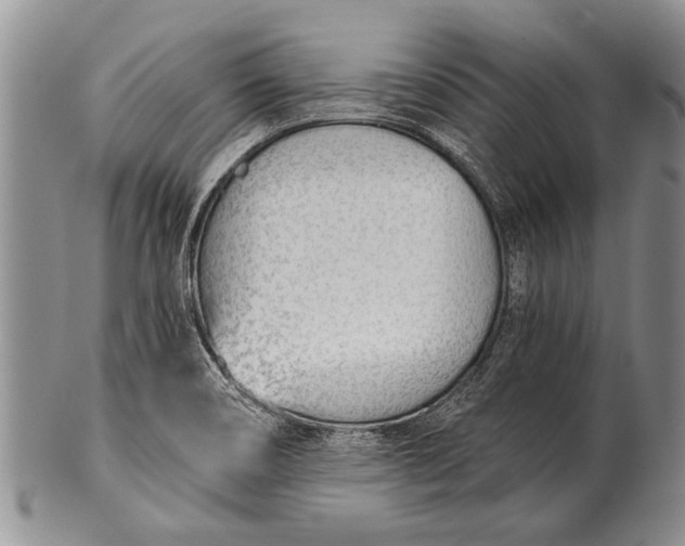 X0000100411466200806201748