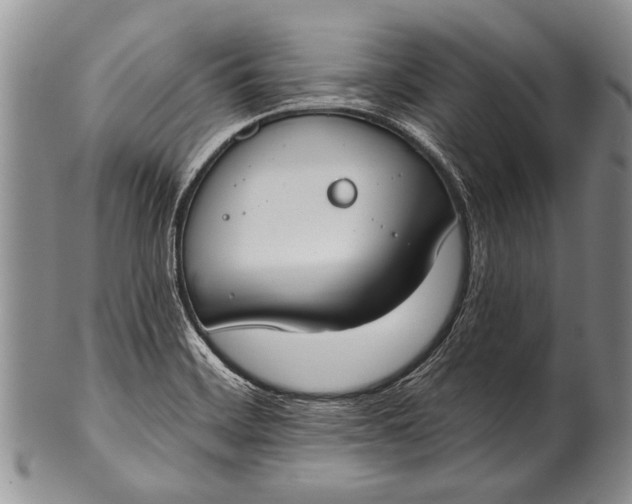 X0000100411468200806201747