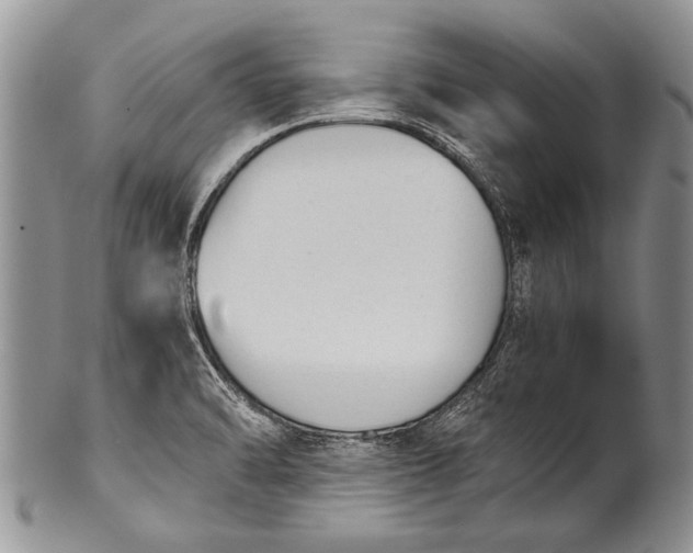 X0000100411470200806201747