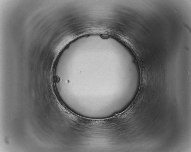 X0000100411471200806201747