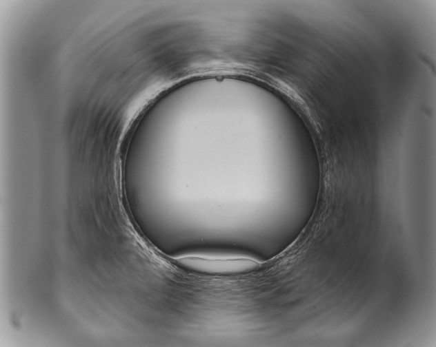 X0000100411472200806201747