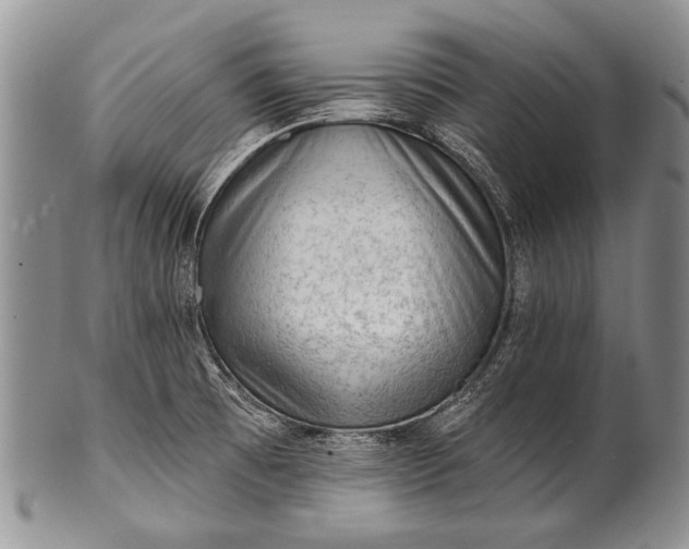 X0000100411473200806201747