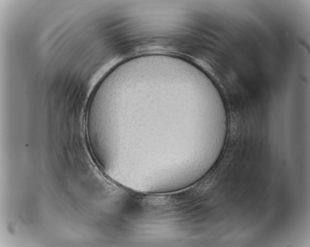 X0000100411474200806201747