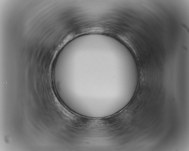 X0000100411475200806201747