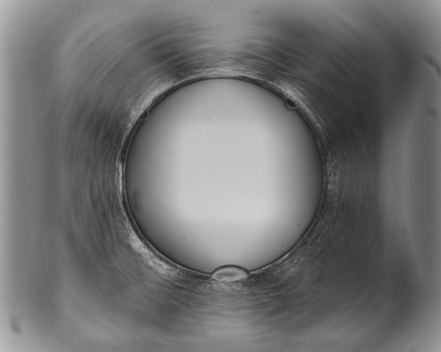 X0000100411476200806201747