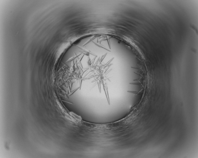 X0000100411477200806201747