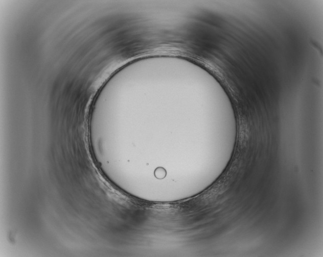 X0000100411478200806201747