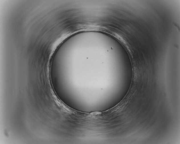 X0000100411480200806201747