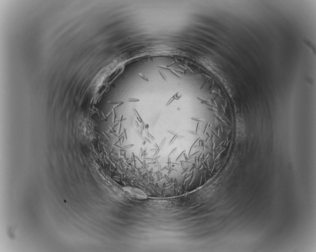 X0000100411481200806201747