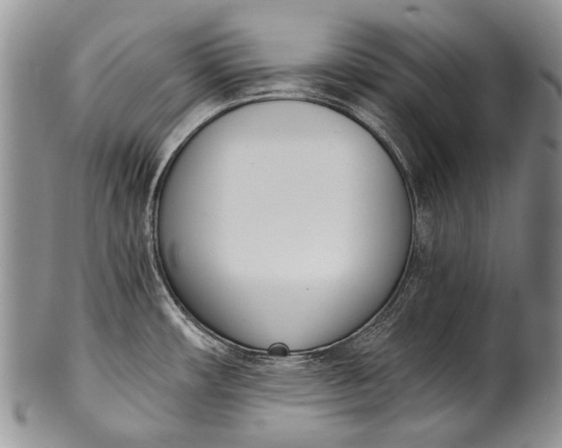 X0000100411482200806201747