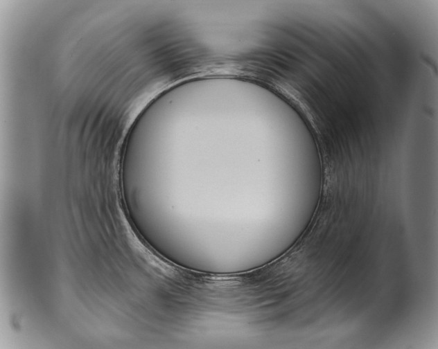 X0000100411483200806201747