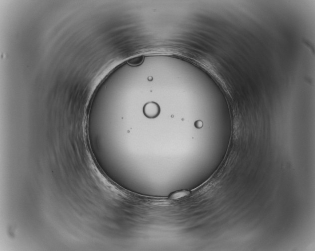 X0000100411484200806201747