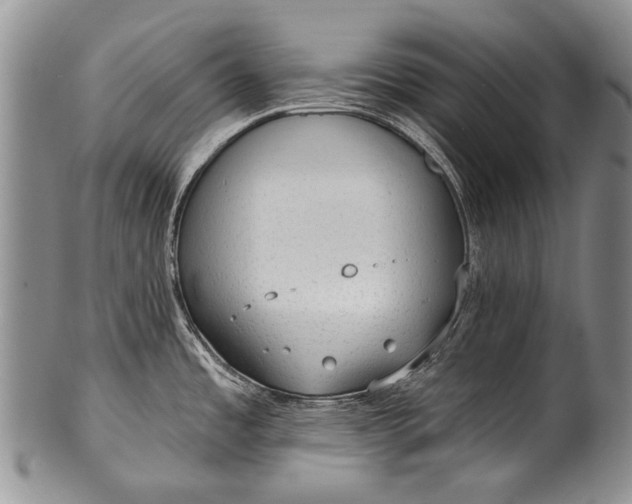 X0000100411485200806201747