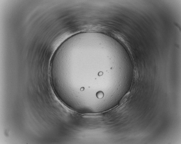 X0000100411487200806201747