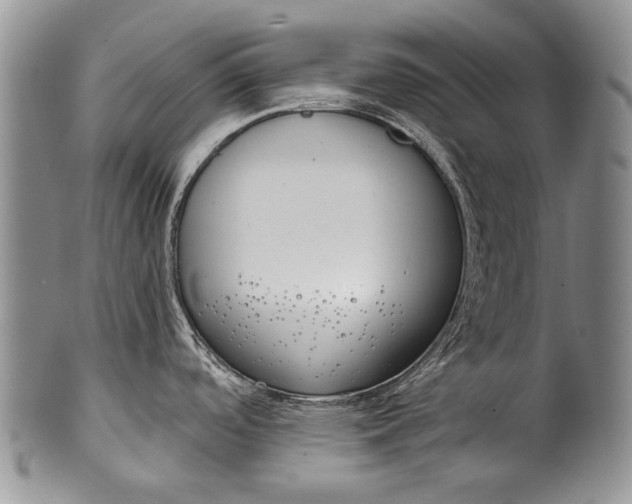 X0000100411488200806201747