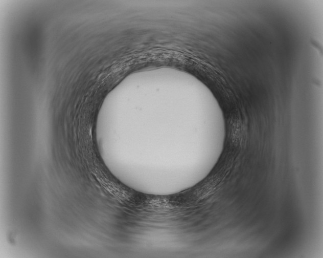 X0000100411489200806201747