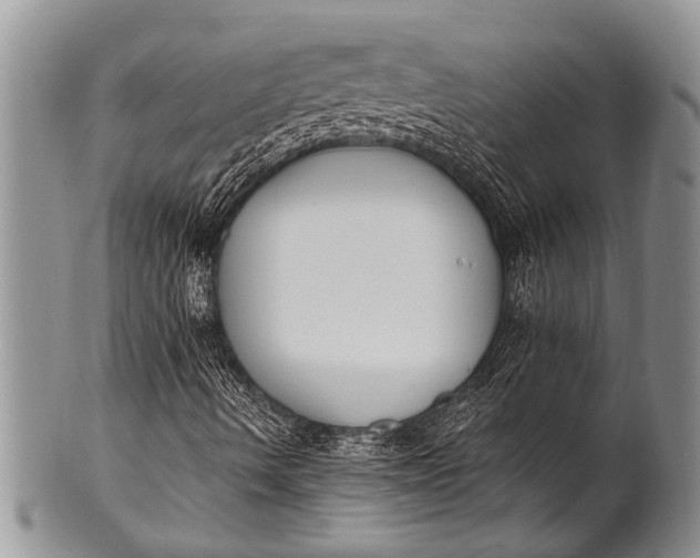 X0000100411490200806201747