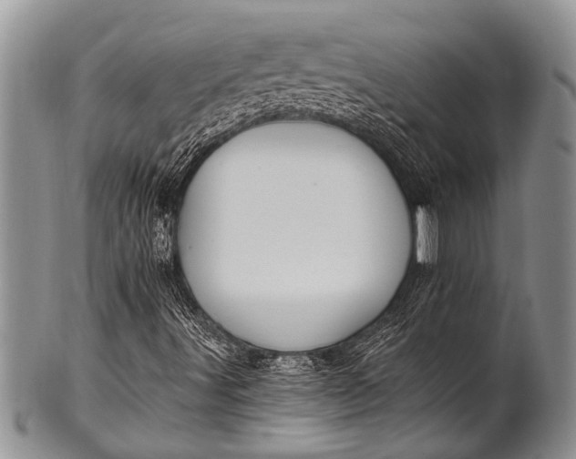 X0000100411491200806201747