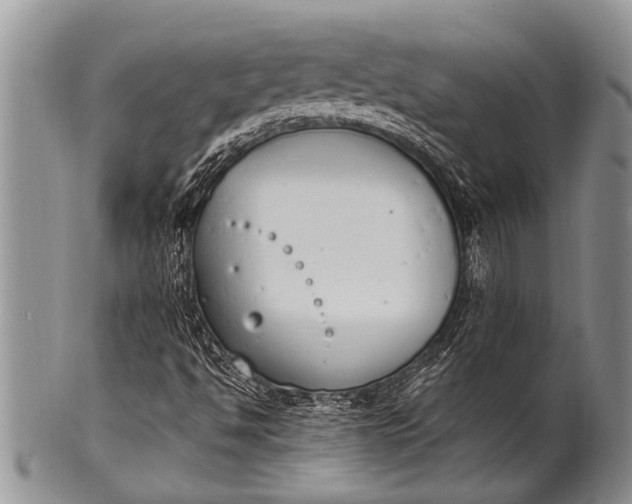 X0000100411494200806201747