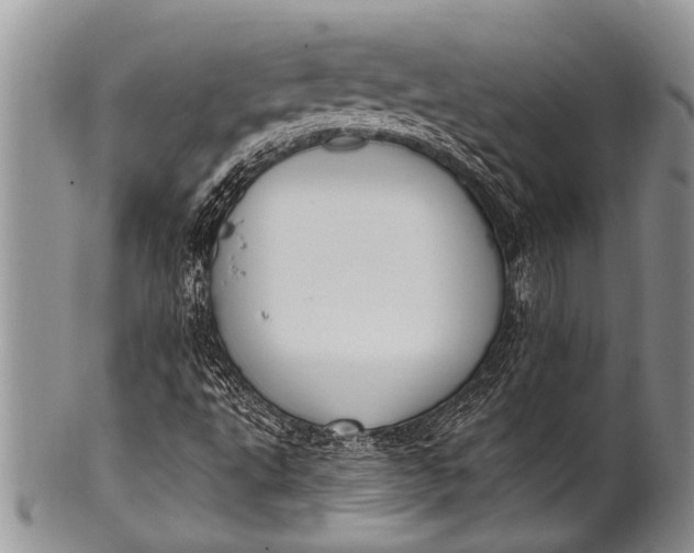 X0000100411495200806201747