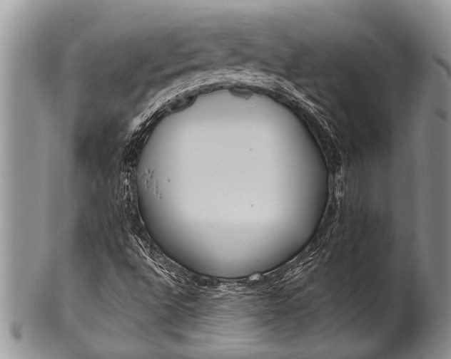 X0000100411496200806201747