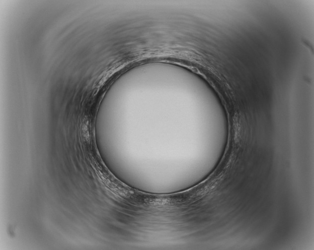 X0000100411497200806201747