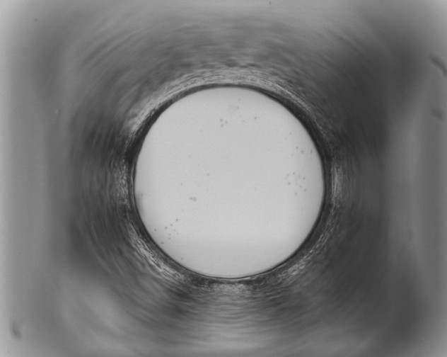 X0000100411498200806201747