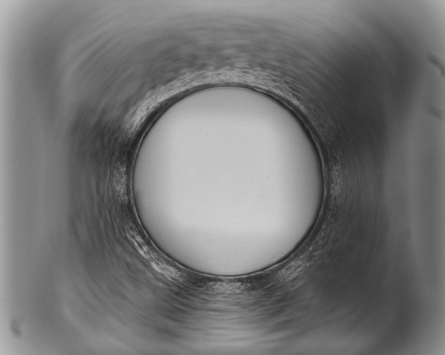 X0000100411499200806201747