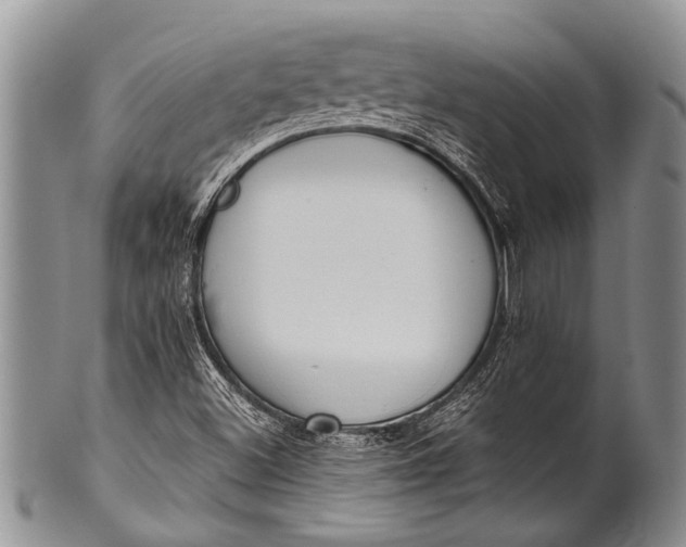 X0000100411500200806201747