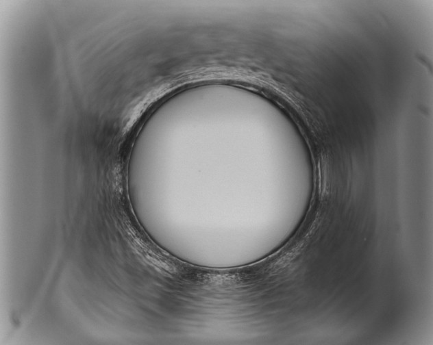 X0000100411501200806201747