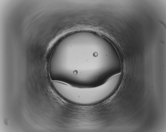 X0000100411502200806201747