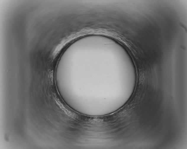 X0000100411503200806201747