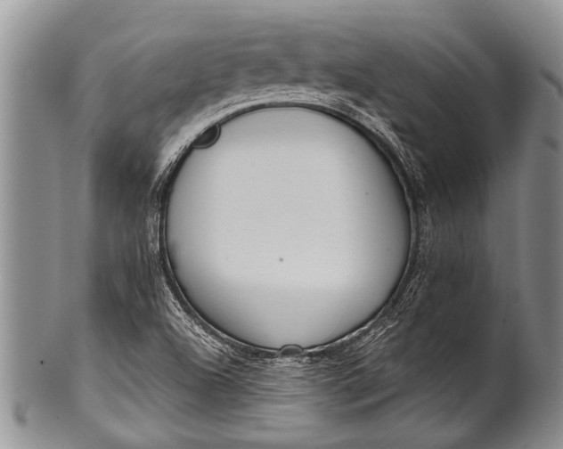 X0000100411504200806201747