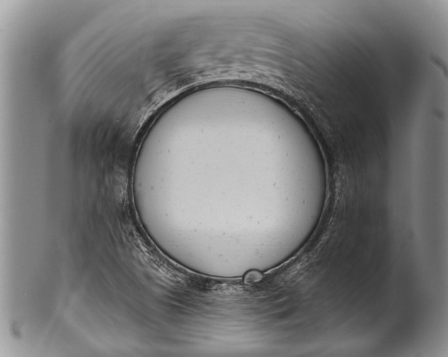 X0000100411505200806201747