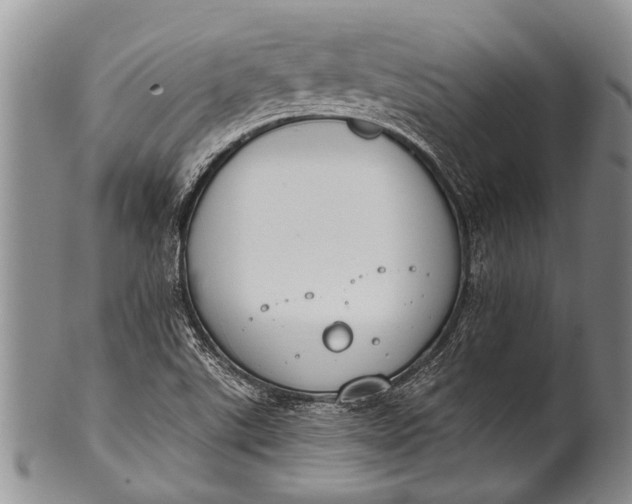 X0000100411507200806201747