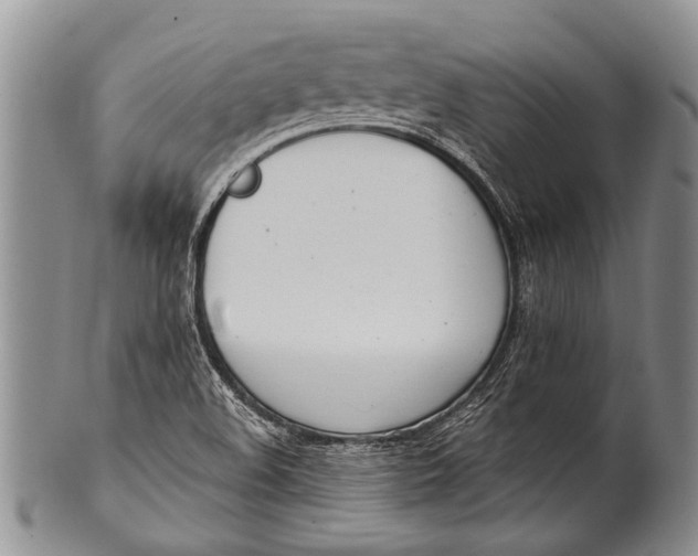 X0000100411508200806201747