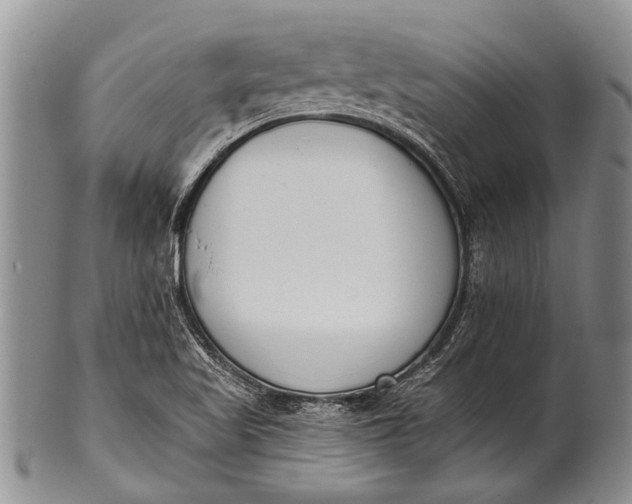 X0000100411509200806201747