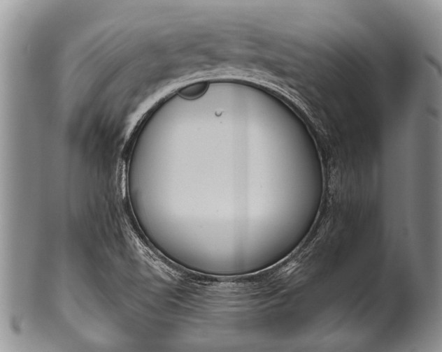 X0000100411510200806201747