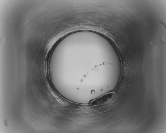 X0000100411511200806201747