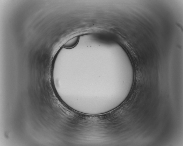 X0000100411512200806201747